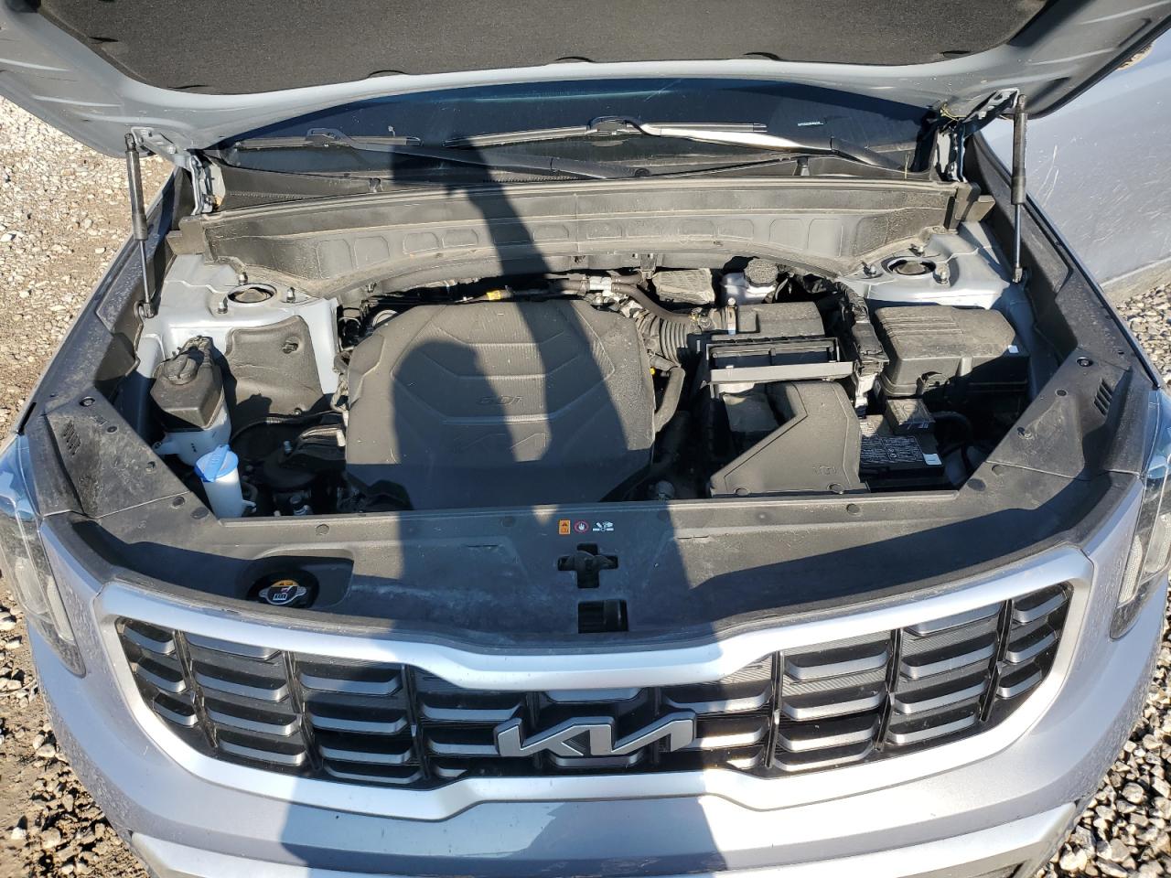 2024 Kia Telluride S VIN: 5XYP6DGC0RG466345 Lot: 63385635