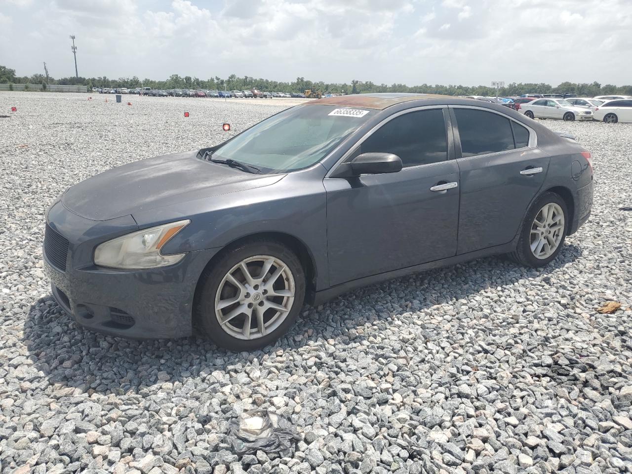 2010 Nissan Maxima S VIN: 1N4AA5AP3AC800789 Lot: 66358335