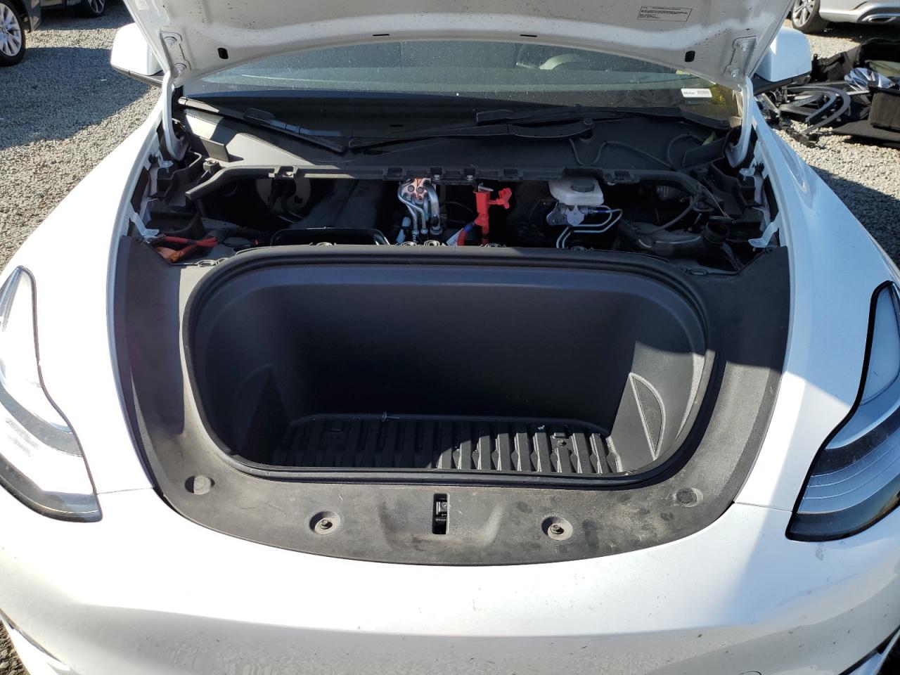 2023 Tesla Model Y VIN: 7SAYGDEE7PA079382 Lot: 64139845