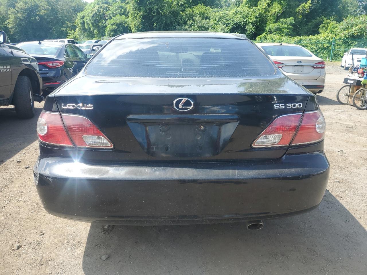 2003 Lexus Es 300 VIN: JTHBF30G436001562 Lot: 62664195