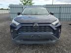 2023 TOYOTA RAV4 XLE   à vendre chez Copart ON - OTTAWA
