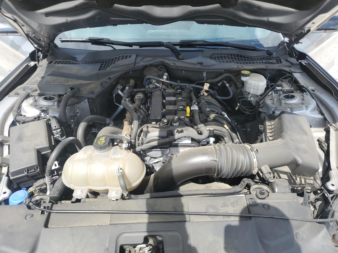 2021 Ford Mustang VIN: 1FA6P8TH3M5128043 Lot: 65331205