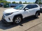 2023 TOYOTA RAV4 XLE   à vendre chez Copart ON - TORONTO