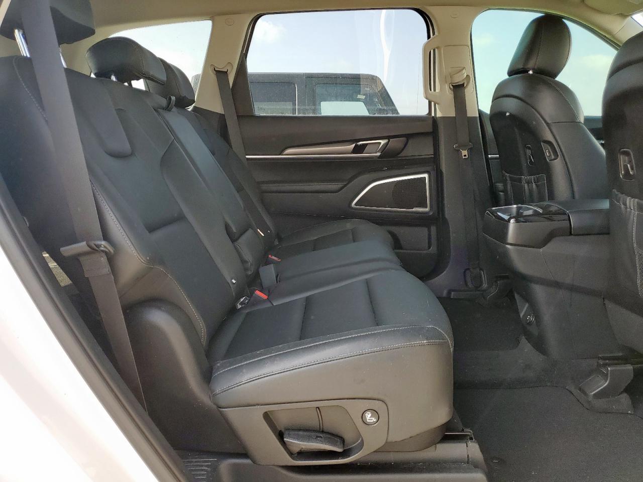 2021 Kia Telluride Lx VIN: 5XYP24HC1MG119531 Lot: 62703435
