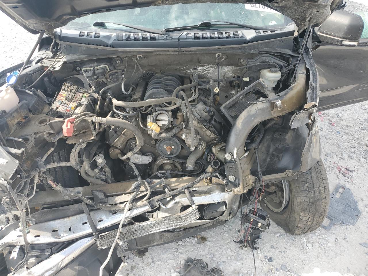 2015 Ford F150 Supercrew VIN: 1FTEW1EF3FKD62294 Lot: 62761705