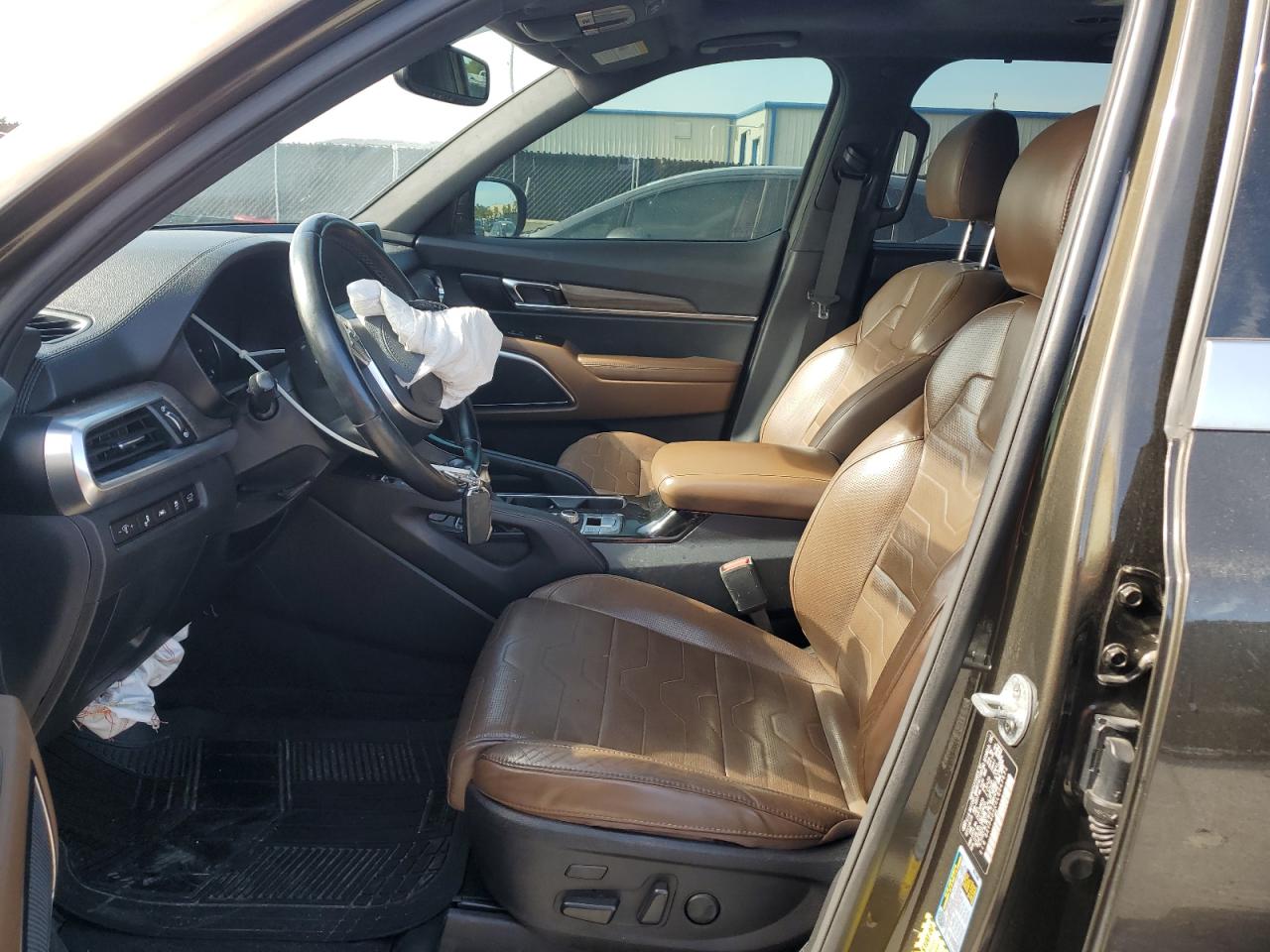 2020 Kia Telluride Sx VIN: 5XYP5DHCXLG047671 Lot: 63335605