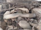 2000 TOYOTA LAND CRUIS for sale at Copart WESTBURY