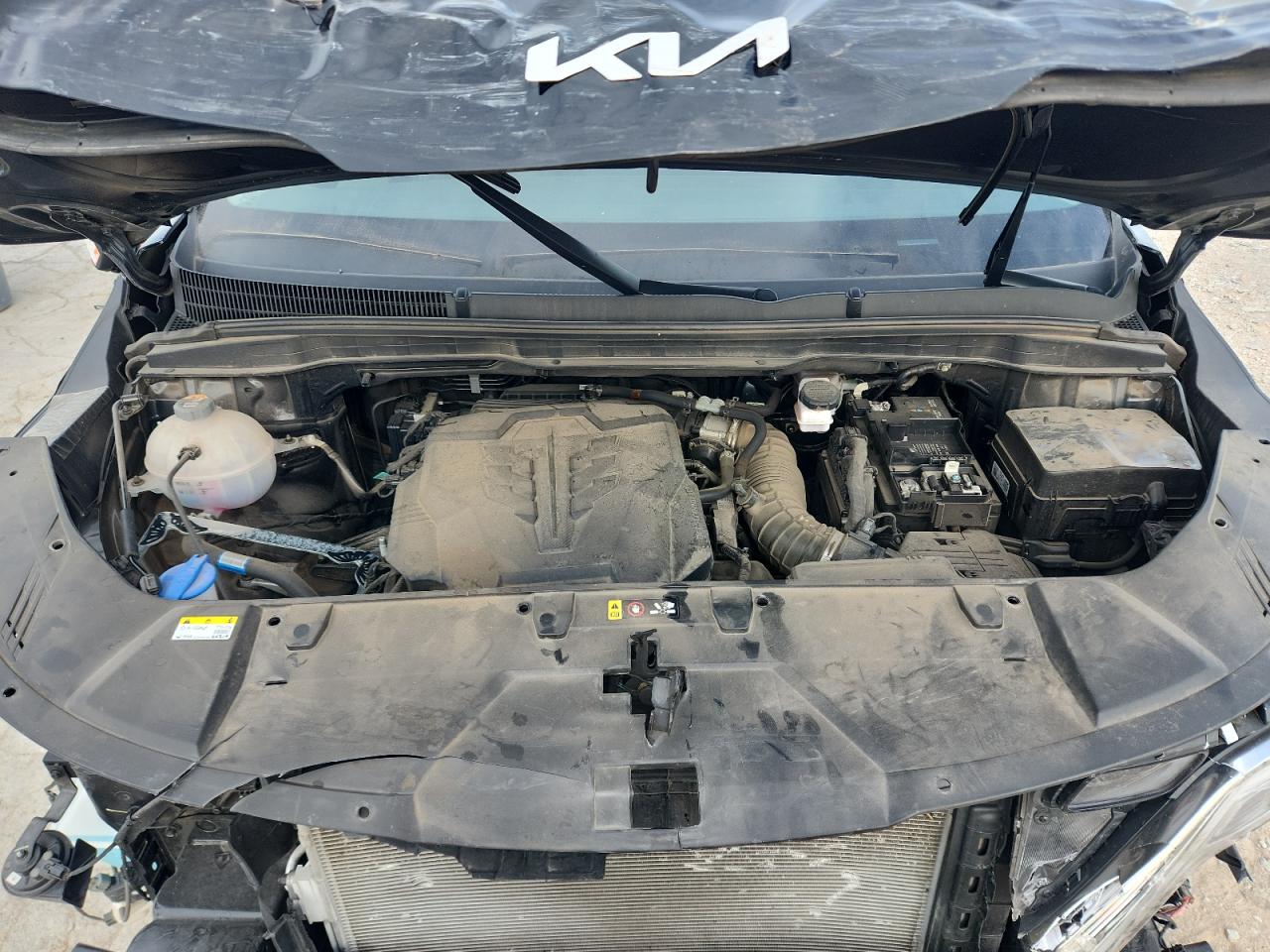 2024 Kia Carnival Ex VIN: KNDNC5H38R6317205 Lot: 63107885