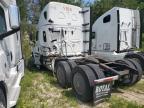 2019 FREIGHTLINER CASCADIA 126    à vendre chez Copart ON - COOKSTOWN