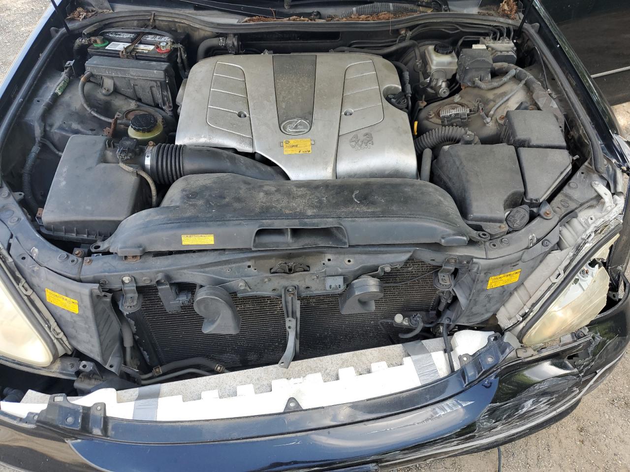 2004 Lexus Ls 430 VIN: JTHBN36F340132195 Lot: 64545595