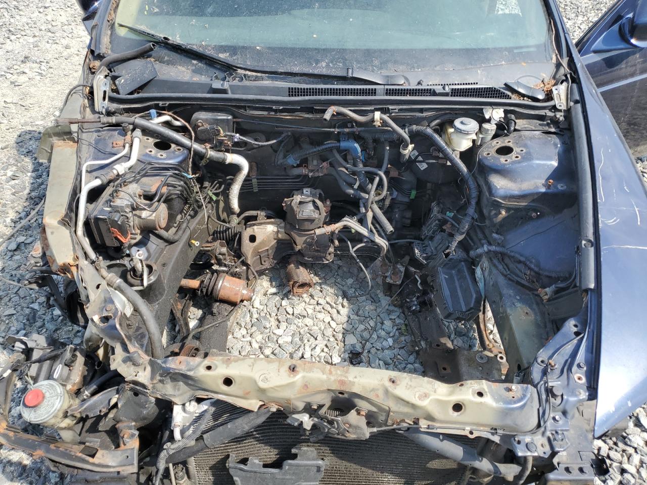19uua65564a071453 19UUA65564A071453 2004 Acura Tl