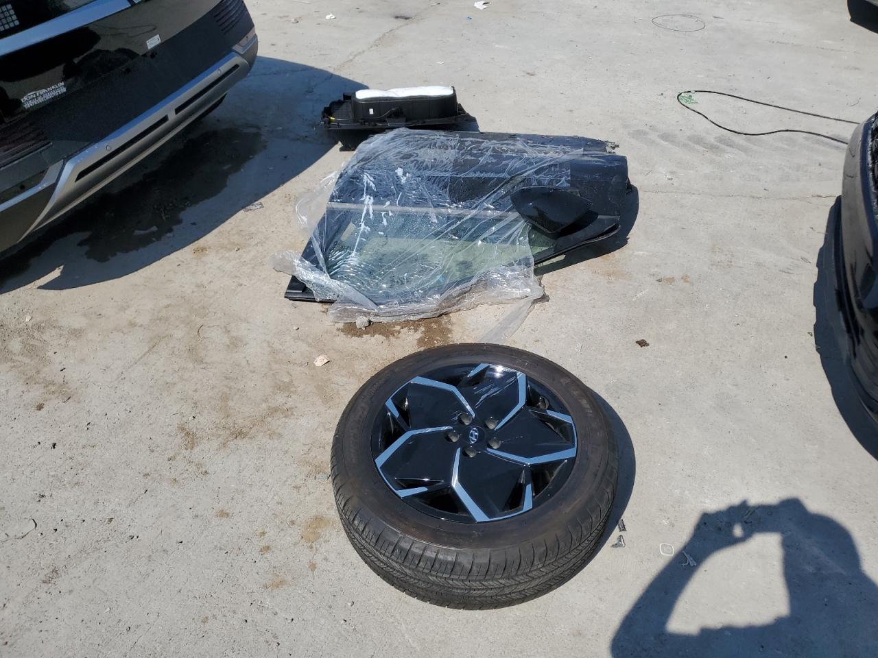 2024 Hyundai Ioniq 5 Sel VIN: KM8KNDDFXRU294136 Lot: 66180505