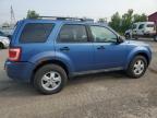 2010 FORD ESCAPE XLT   à vendre chez Copart ON - LONDON