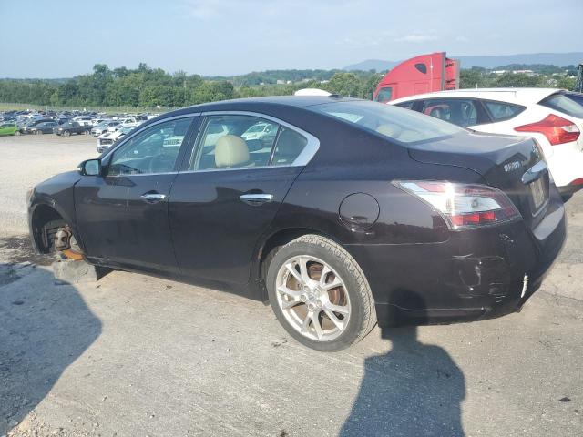  NISSAN MAXIMA 2012 Fioletowy