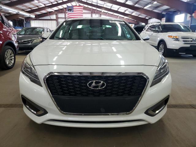 Sedans HYUNDAI SONATA 2016 White