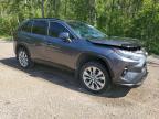 2023 TOYOTA RAV4 XLE   à vendre chez Copart ON - COOKSTOWN