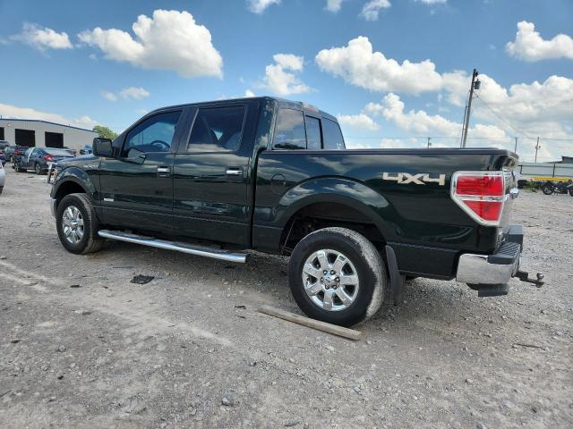  FORD F-150 2013 Zielony