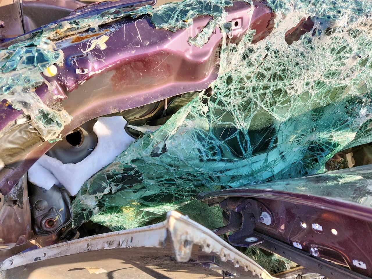 2020 Dodge Charger Scat Pack VIN: 2C3CDXGJXLH204429 Lot: 84375105