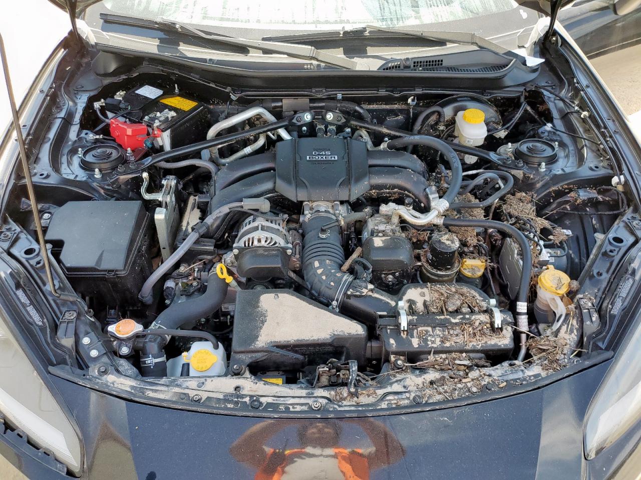2022 Toyota Gr 86 Premium VIN: JF1ZNBF12N8756271 Lot: 65854555