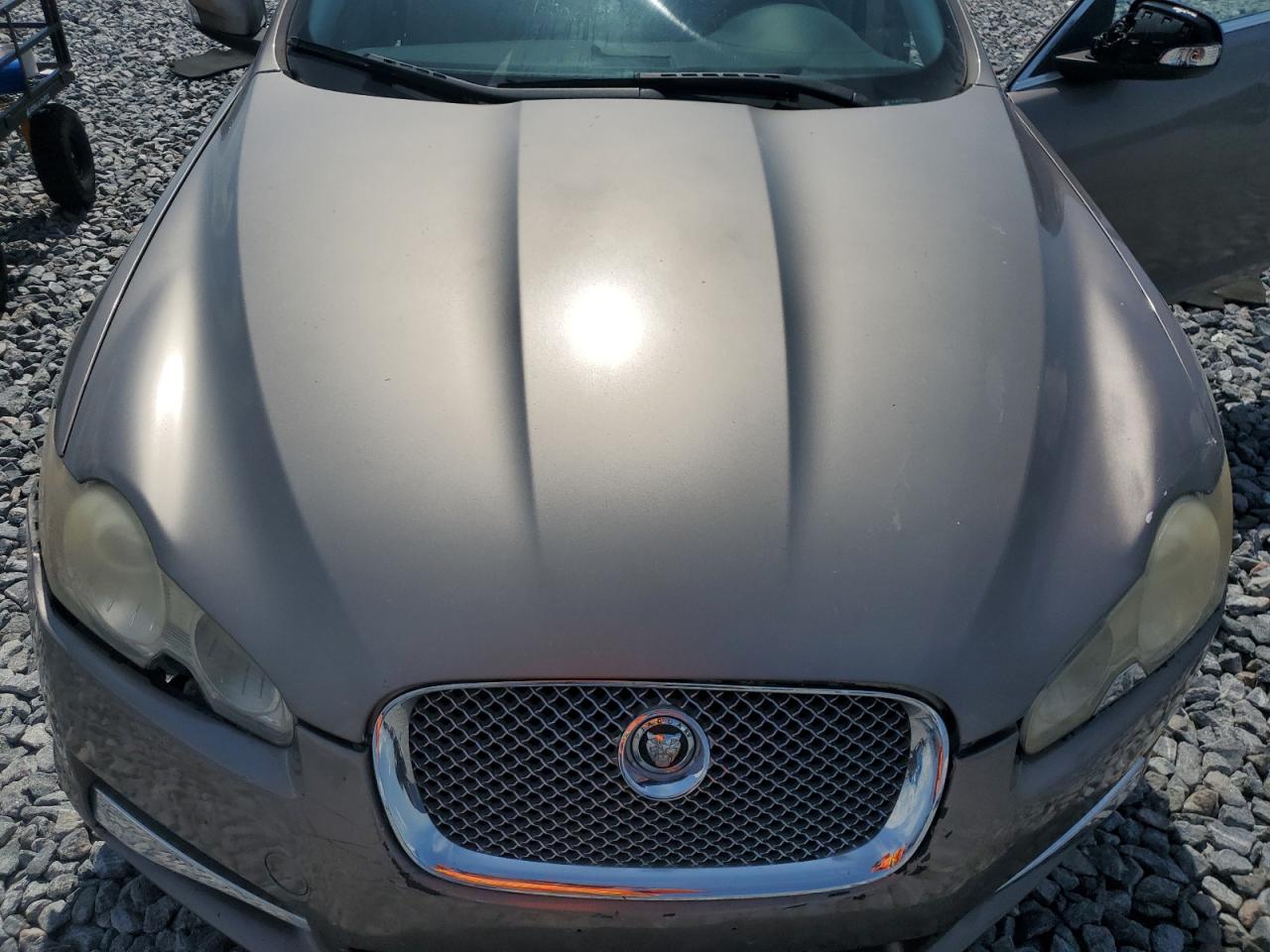 sajwa05b99hr11865 SAJWA05B99HR11865 2009 Jaguar Xf Luxury
