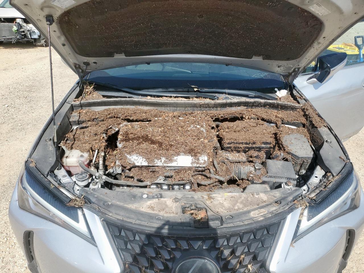2019 Lexus Ux 200 VIN: JTHY3JBH0K2014179 Lot: 64122435