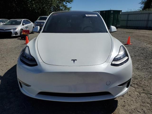  TESLA MODEL Y 2023 White