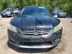 2015 HONDA ACCORD EXL   à vendre chez Copart ON - COOKSTOWN