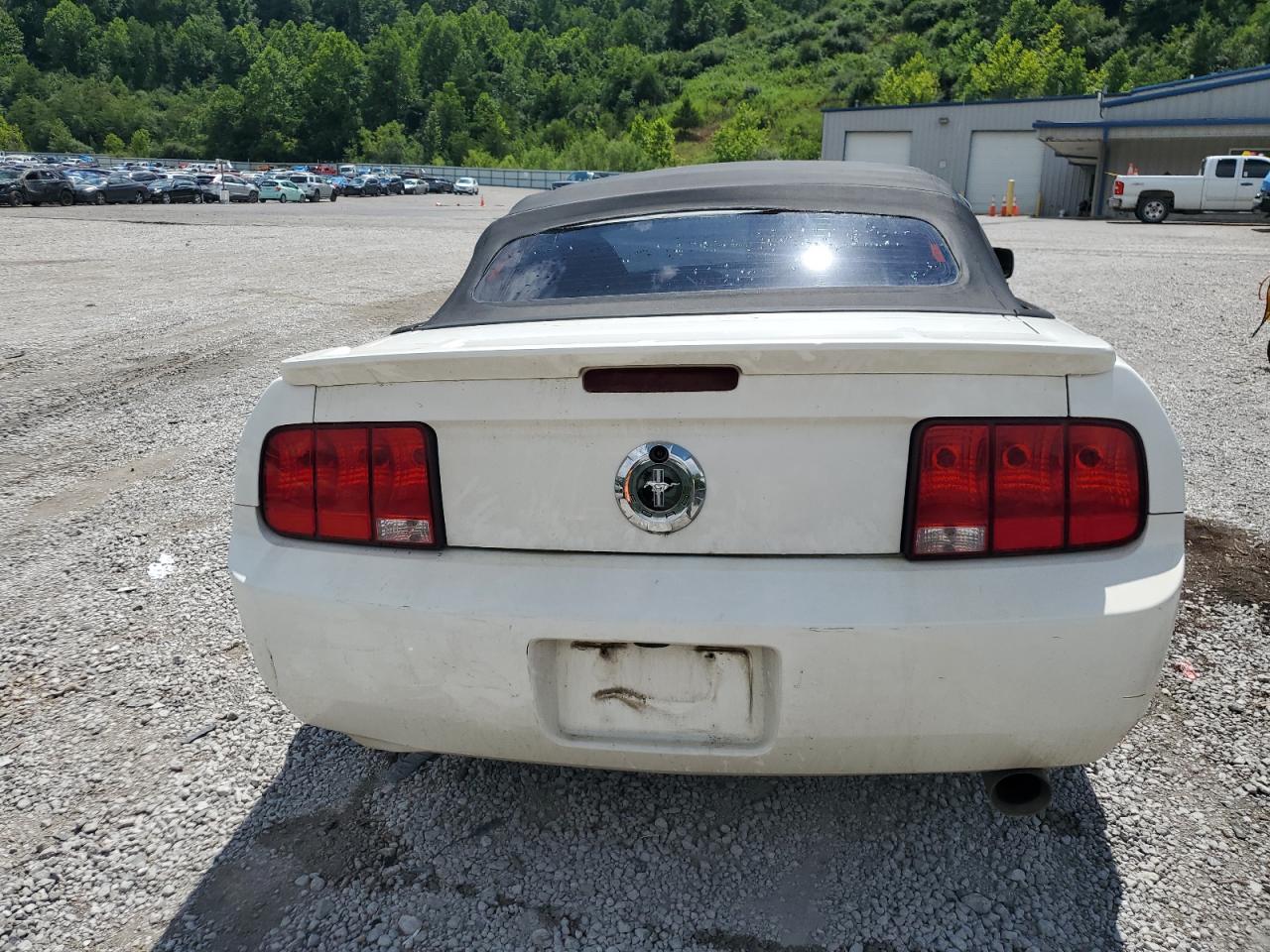 2009 Ford Mustang VIN: 1ZVHT84N495114613 Lot: 64277155