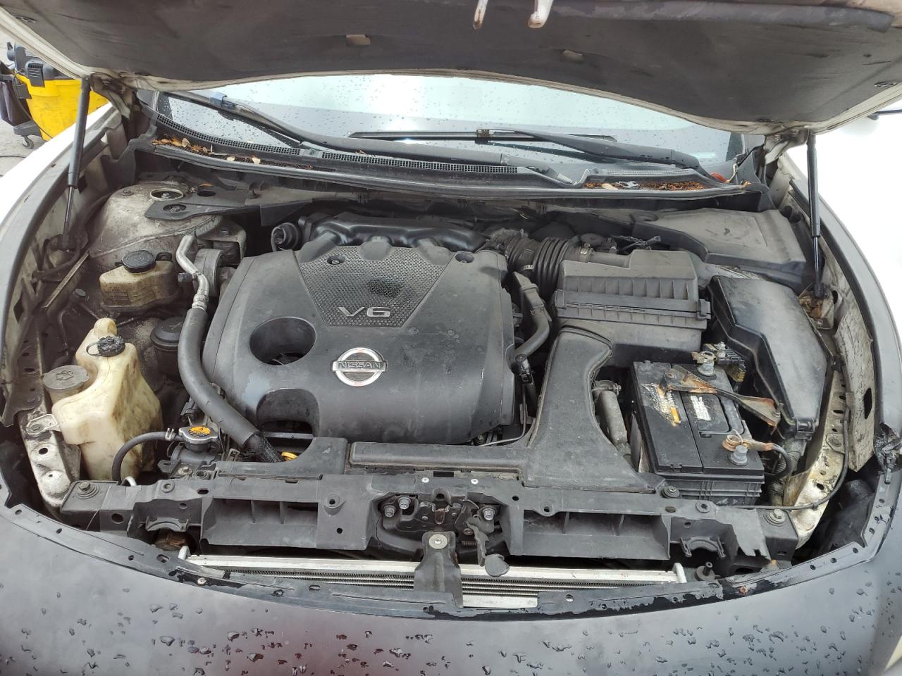 2009 Nissan Maxima S VIN: 1N4AA51EX9C850826 Lot: 64389855