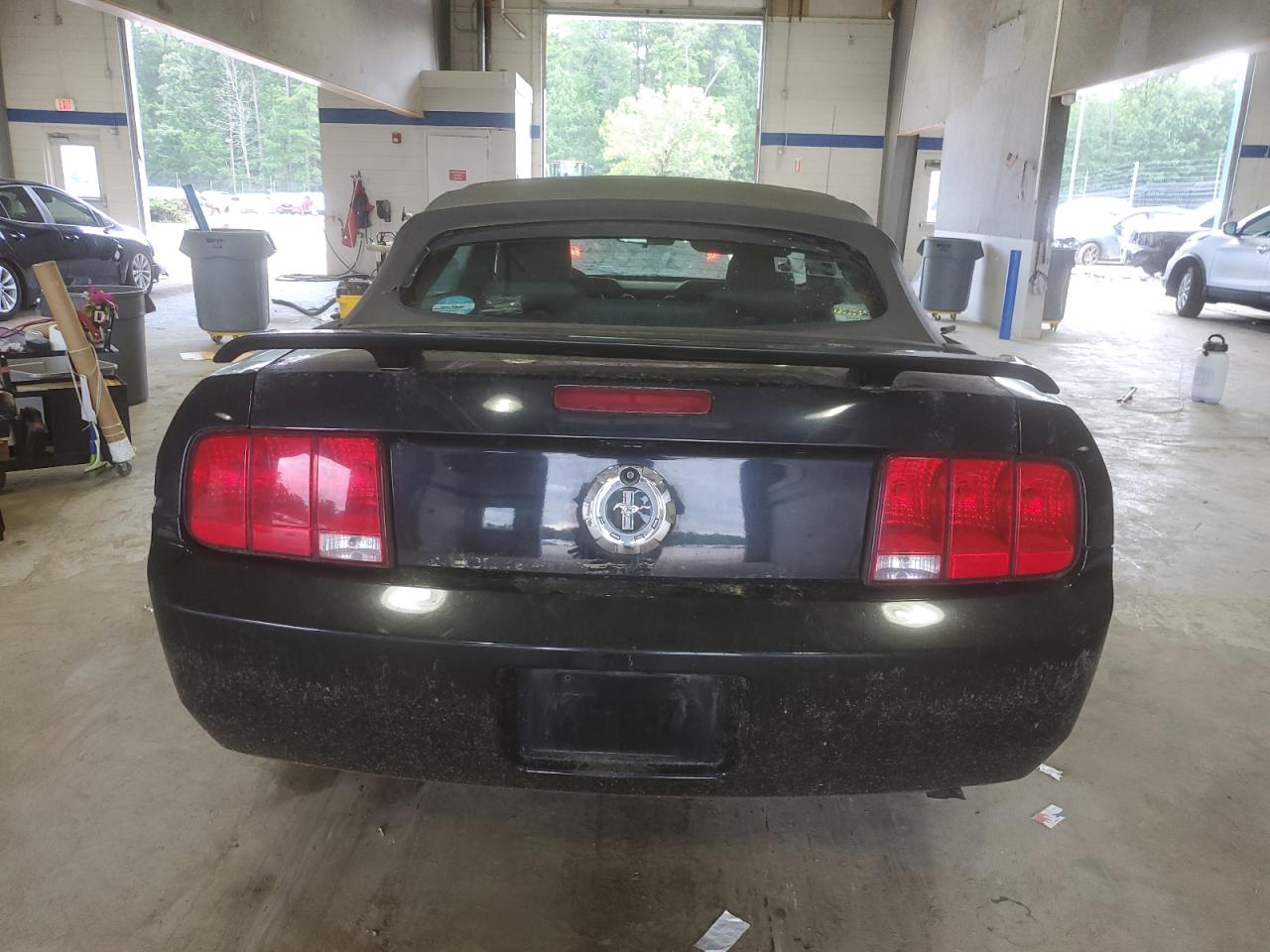 2006 Ford Mustang VIN: 1ZVFT84N165110215 Lot: 65173645