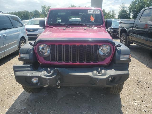  JEEP WRANGLER 2024 Pink