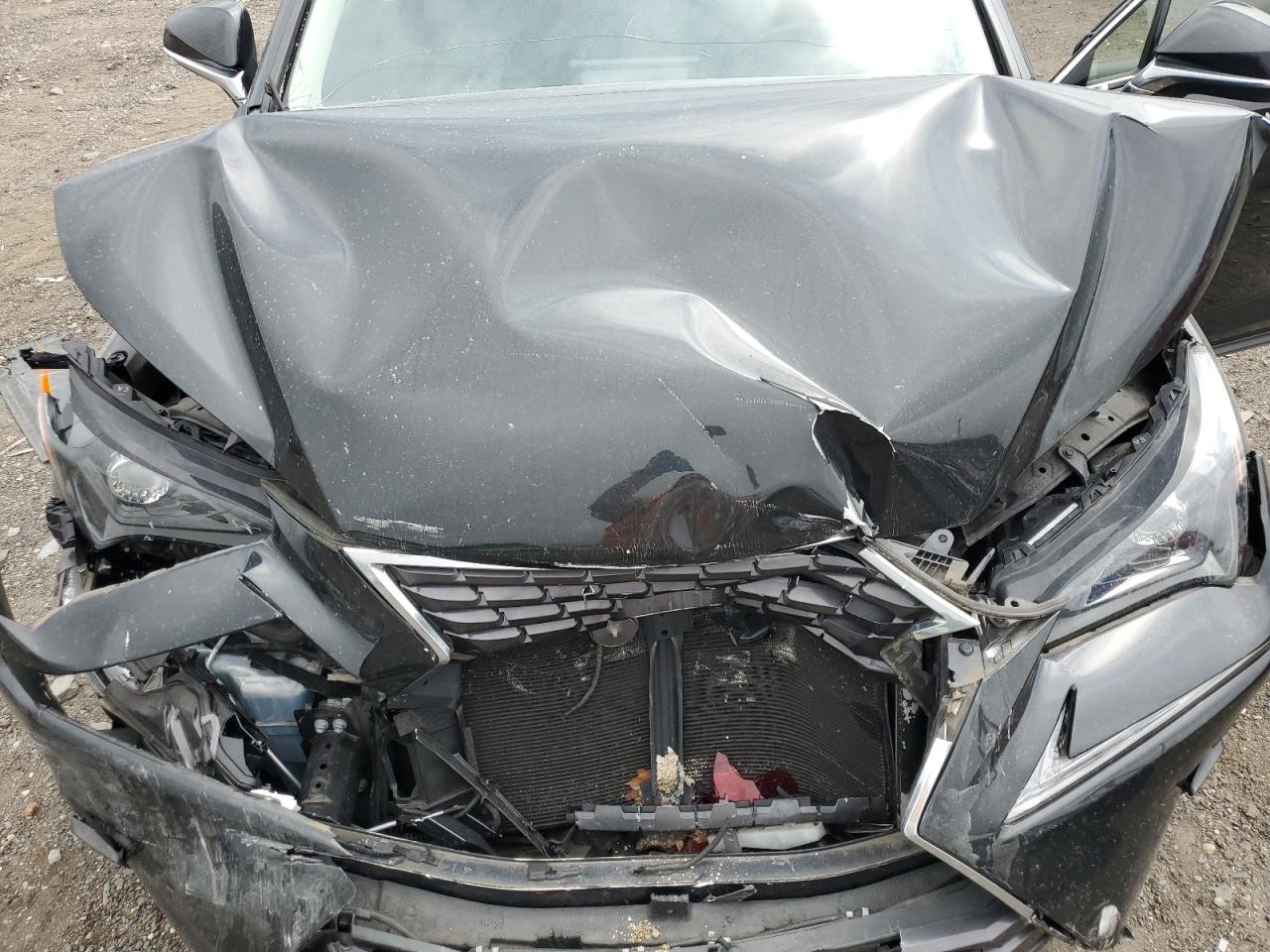 2018 Lexus Nx 300 Base VIN: JTJBARBZ8J2165044 Lot: 64544485