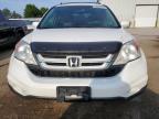 2011 HONDA CR-V EXL   for sale at Copart ON - TORONTO