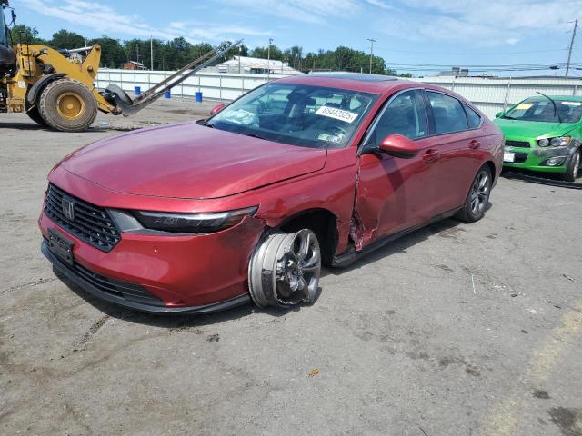  HONDA ACCORD 2024 Czerwony