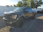 2023 FORD F150 RAPTOR   à vendre chez Copart NY - SYRACUSE