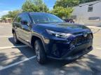 2023 TOYOTA RAV4 XLE   for sale at Copart NY - NEWBURGH
