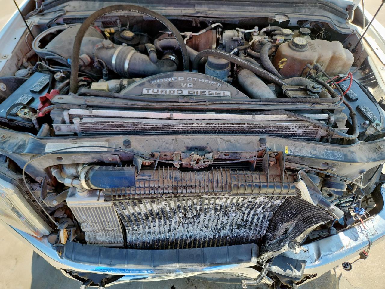 2008 Ford F250 Super Duty VIN: 1FTSW21RX8EA11828 Lot: 65761715