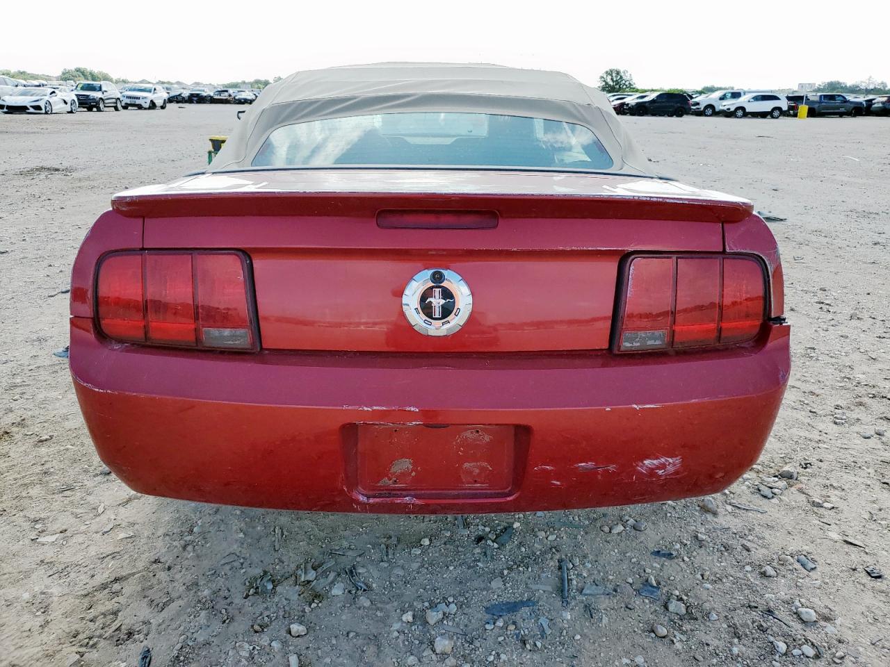 2009 Ford Mustang VIN: 1ZVHT84N695125368 Lot: 65047585