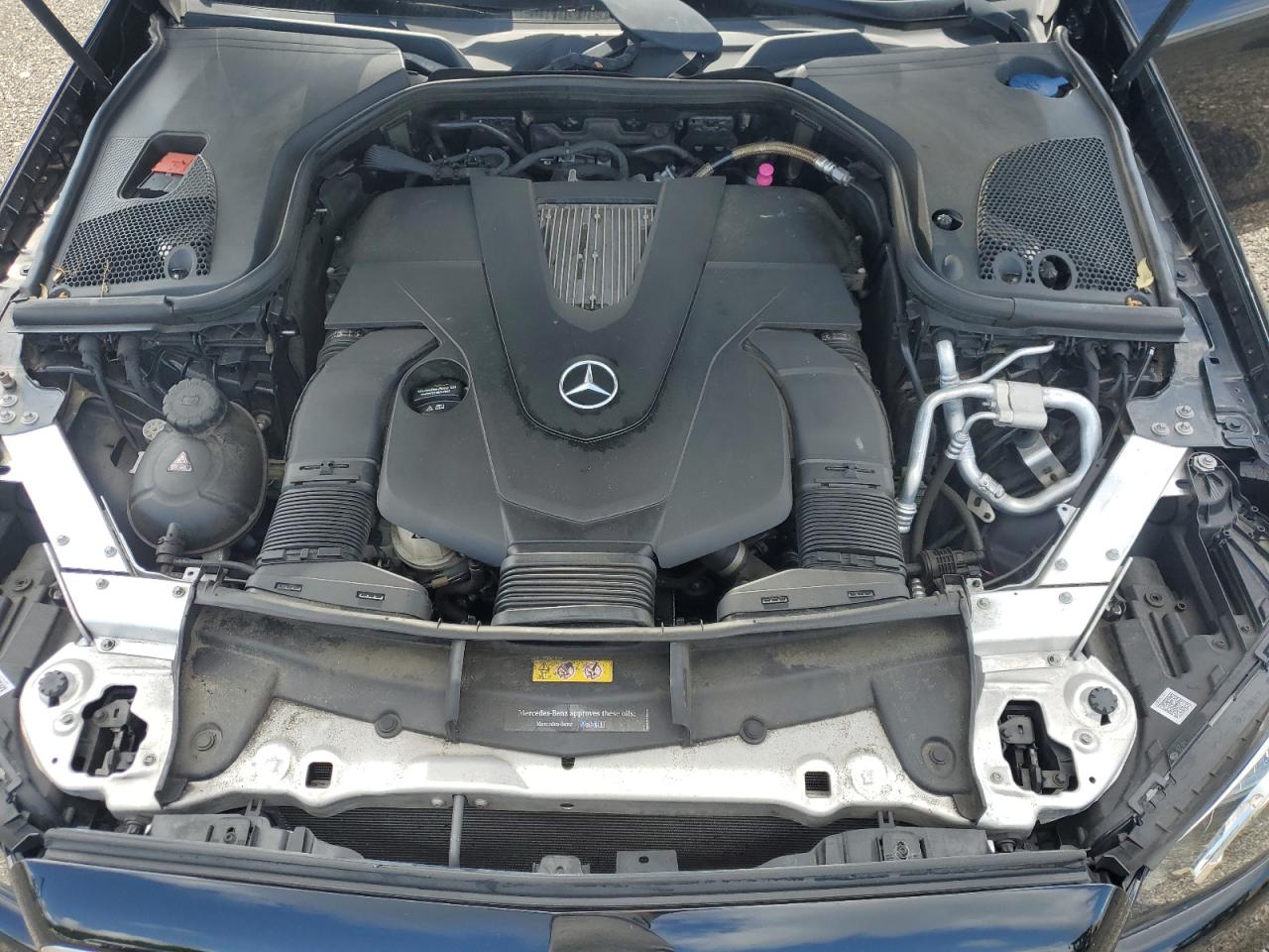 V (W213, S213, C238) V (W213, S213, C238)