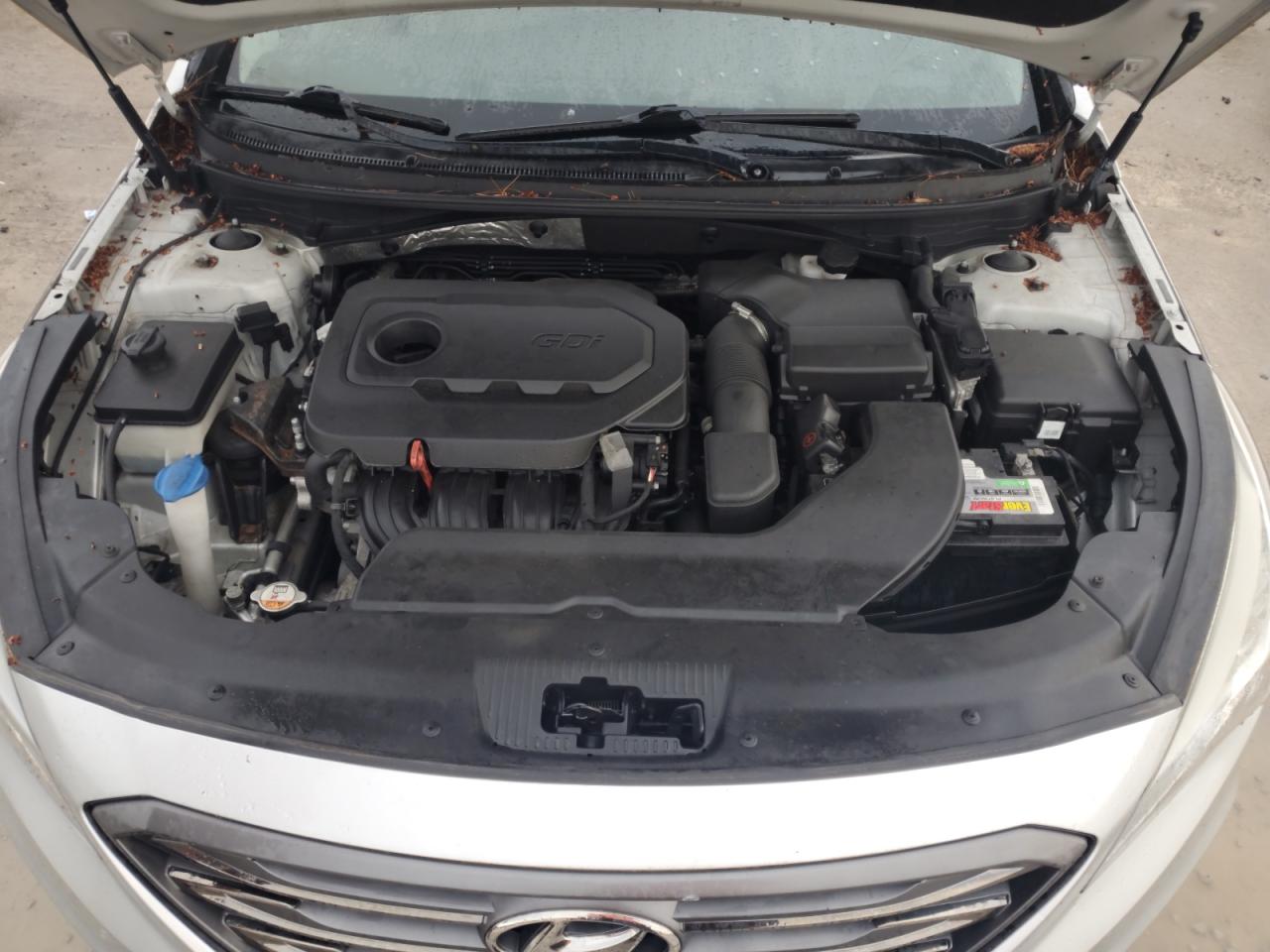 2015 Hyundai Sonata Sport VIN: 5NPE34AFXFH105356 Lot: 63074905