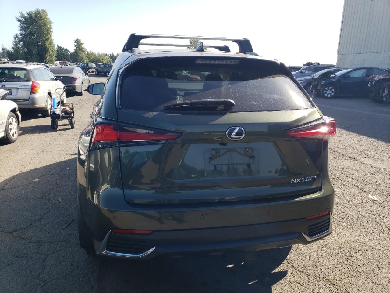 2021 Lexus Nx 300H Base VIN: JTJGJRDZ3M2161944 Lot: 64699705