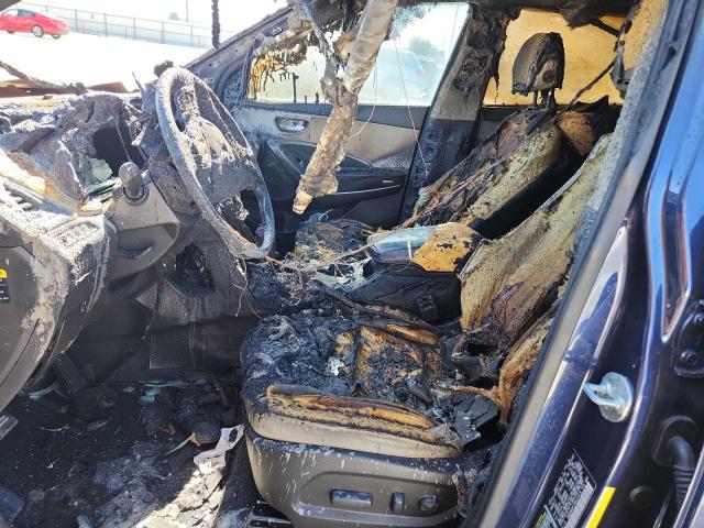 Фото: KM8SN4HF7HU237076