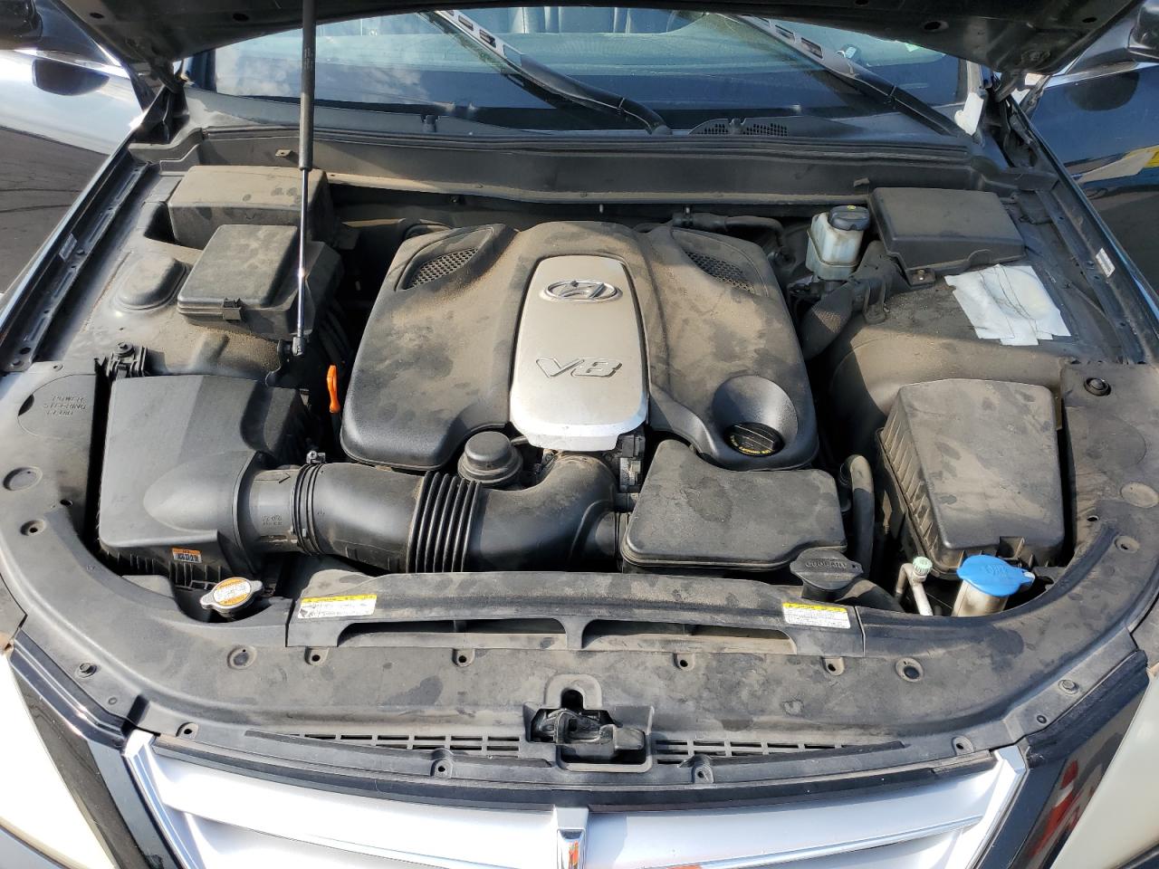 2009 Hyundai Genesis 4.6L VIN: KMHGC46F29U034337 Lot: 63147965