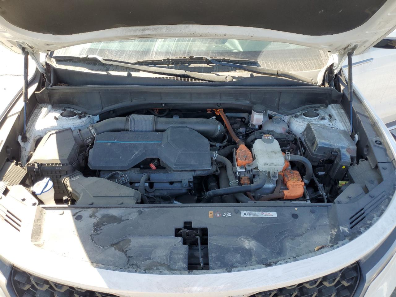 2022 Kia Sorento S VIN: KNDRG4LG9N5081920 Lot: 63816975