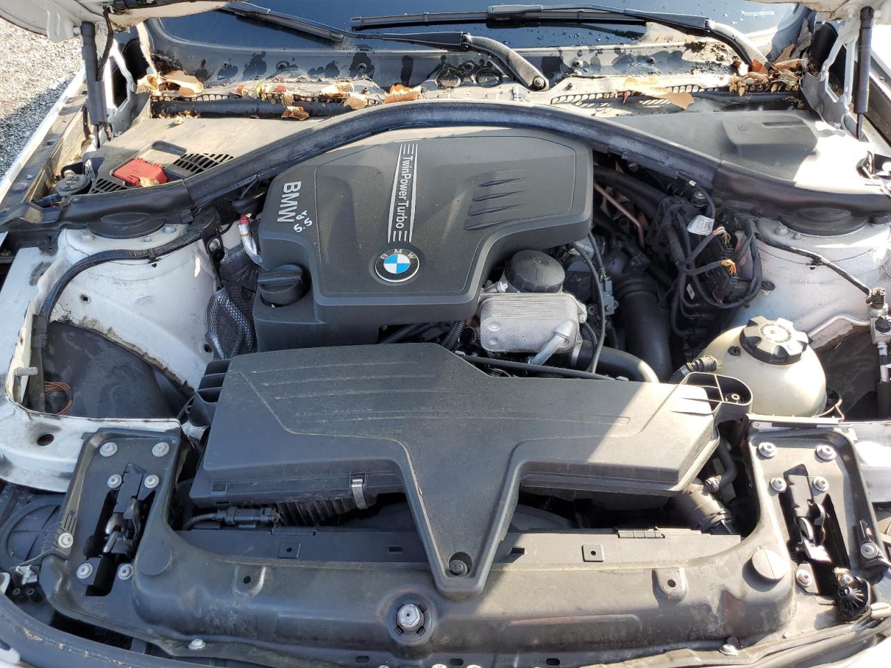 2013 BMW 328 Xi Sulev VIN: WBA3B5C56DF595867 Lot: 64972275