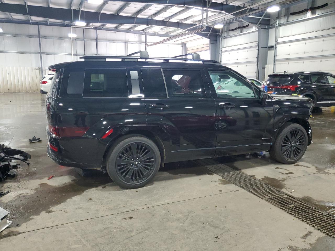 2025 Hyundai Santa Fe Calligraphy VIN: 5NMP5DG10SH035484 Lot: 65000065