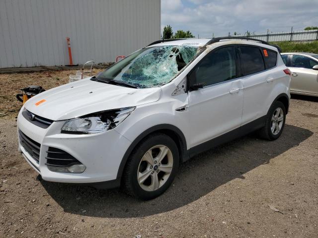 Паркетники FORD ESCAPE 2016 Белы