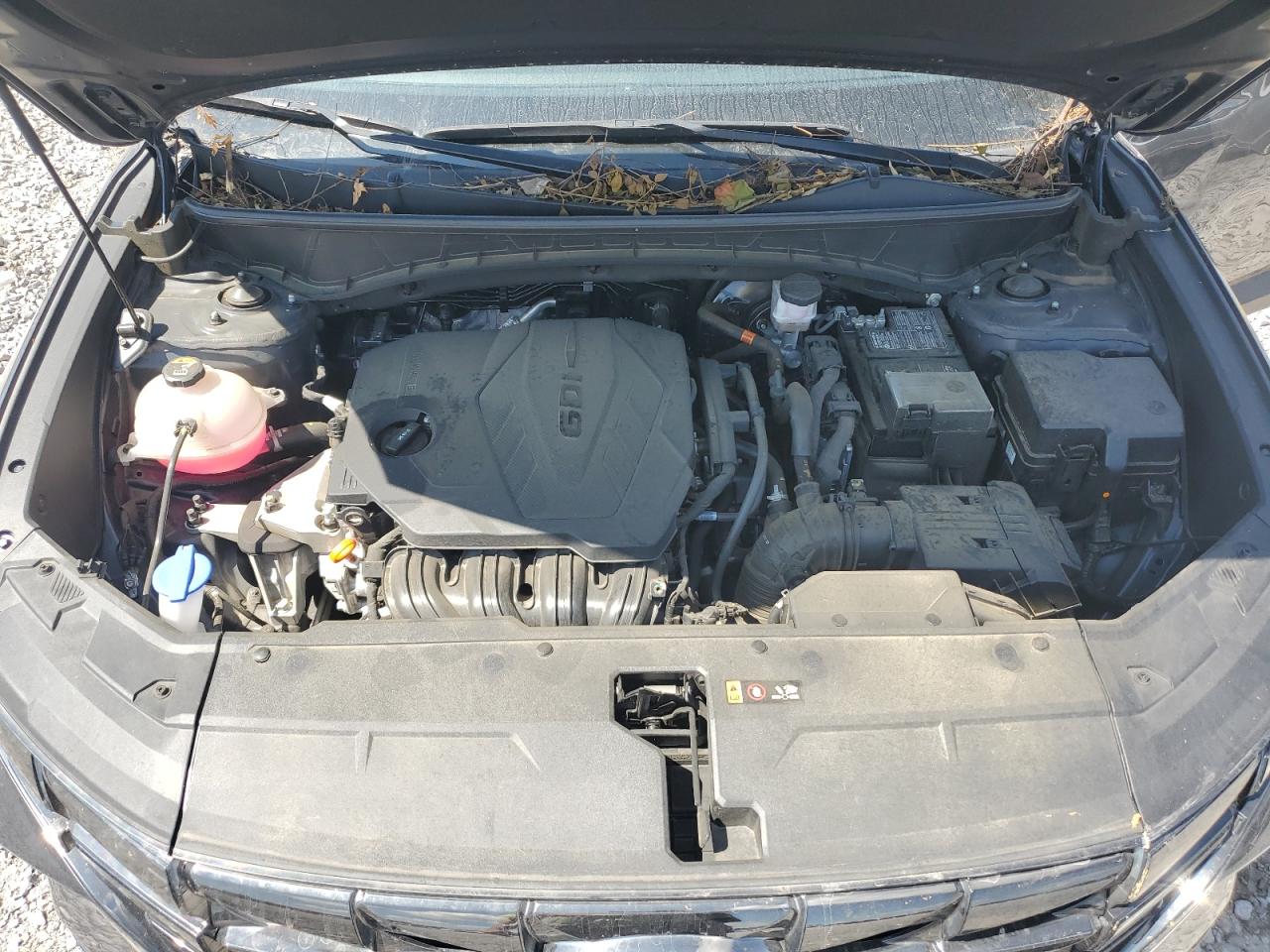 2023 Hyundai Tucson Limited VIN: 5NMJECAE1PH231923 Lot: 64688795
