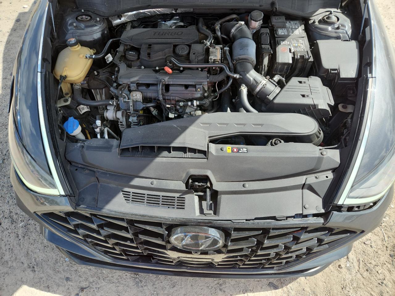 2021 Hyundai Sonata Limited VIN: 5NPEH4J29MH098881 Lot: 64448725