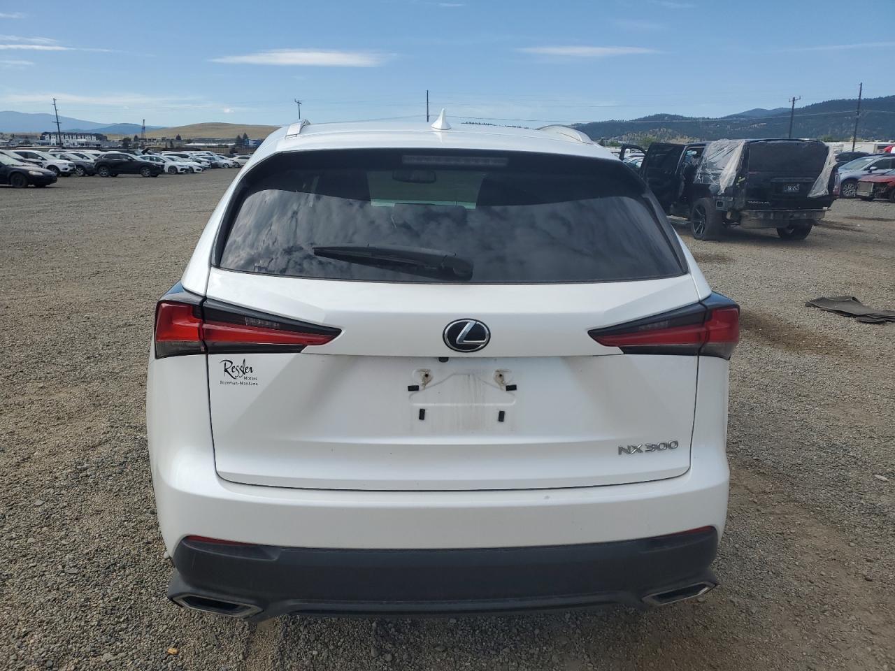 2019 Lexus Nx 300 Base VIN: JTJBARBZ4K2196132 Lot: 66678495
